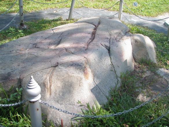 PA230203.jpg